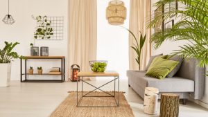 Read more about the article Things You Must Have Indoor plants for house decor and that filter the air.