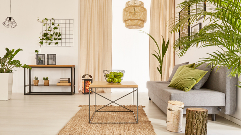 Read more about the article Things You Must Have Indoor plants for house decor and that filter the air.