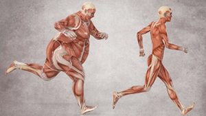 Read more about the article Can I Lose Fat and Gain Muscle at the Same Time?