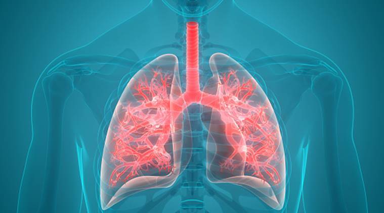 You are currently viewing Harmful Food for Lung: फेफड़ों को सीधा नुकसान पहुंचाती हैं ये चीजें