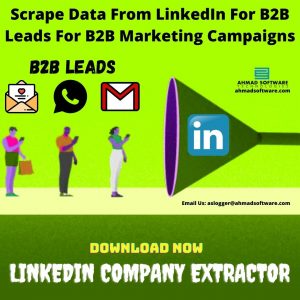 Read more about the article How Can I Export B2B Leads From LinkedIn?