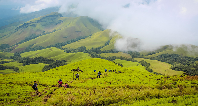 Read more about the article Best Weekend Treks Near Bengaluru