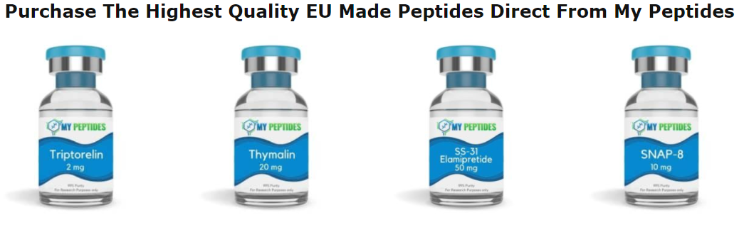 Read more about the article The Future of Research Peptides