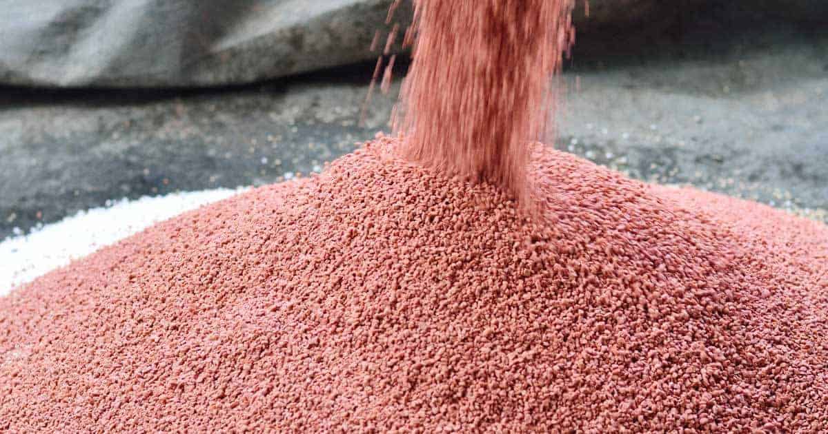 Read more about the article All You Wanted To Know About Phosphorus