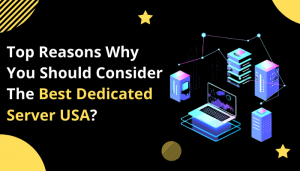 Read more about the article Top Reasons Why You Should Consider The Best Dedicated Server USA?