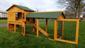 Read more about the article The Importance of Rabbit Hutches For Sale in Your Area