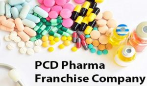 Read more about the article Why is search engine marketing an effective device for pharma franchising enterprises?