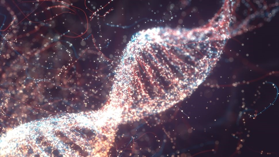 Read more about the article 5 Cool Things We Learned About Humans In 2021
