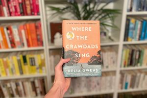 Read more about the article Books Which Are Better Than “Where The Crawdads Sing”