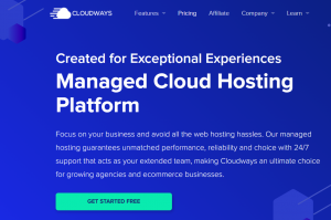 Read more about the article Cloudways Web Hosting Review
