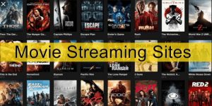 Read more about the article Free Movie Streaming Sites: All You Just Need For Your Entertainment