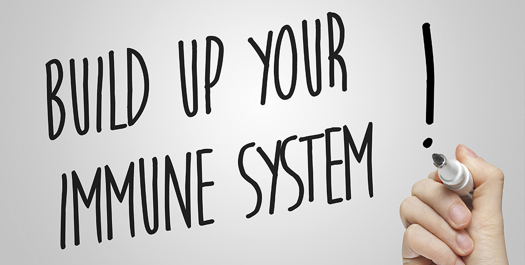 Read more about the article How can Artemisia annua help with boosting your immune system?