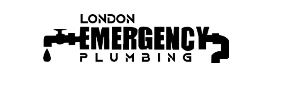 Read more about the article How to Find a Local Plumber Near Me