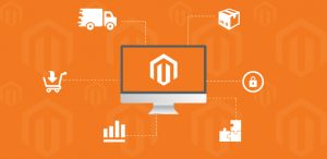 Read more about the article The Complete Guideline About Magento PWA Development Solutions