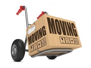 Read more about the article Why Hire a Moving Company in the U.A.E.?