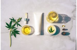 Read more about the article Standard Packing Of Custom Cbd Oil Boxes Is Perfect For You!