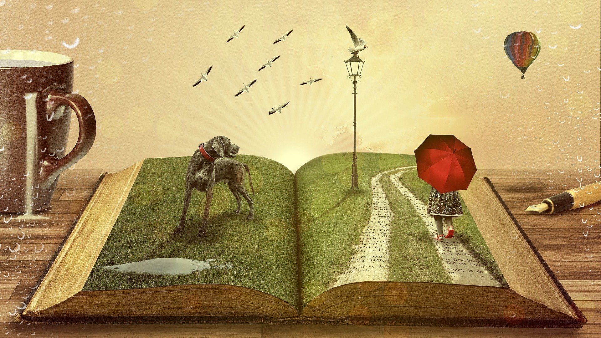 Read more about the article 5 Worth Reading Books That You Should Read on A Plane
