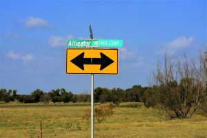 Read more about the article Custom Sign Installation