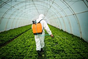 Read more about the article Agricultural insurance – insurance of crops, fruits, and animals