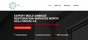 Read more about the article How to Find a Mould Abatement Near Me