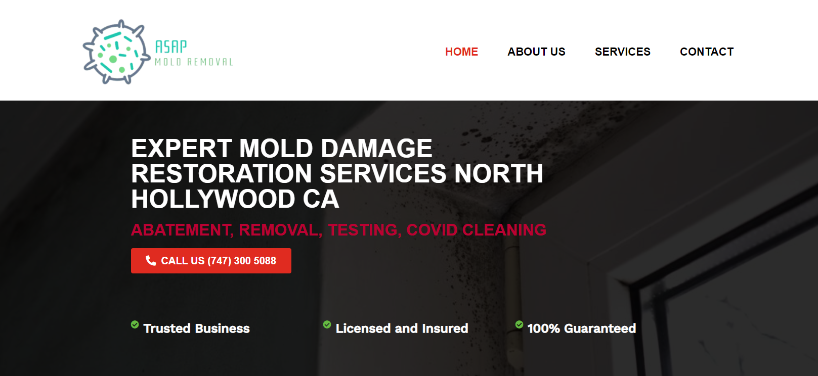 Read more about the article How to Find a Mould Abatement Near Me