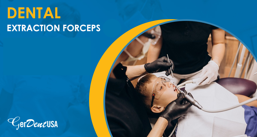 Read more about the article Significance of Using Dental Extraction Forceps in Dentistry Practices