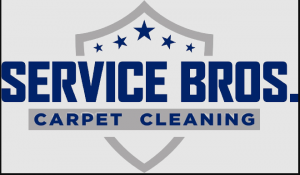 Read more about the article Choose the best carpet cleaning services according to you