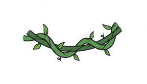 Read more about the article How to Draw Vines