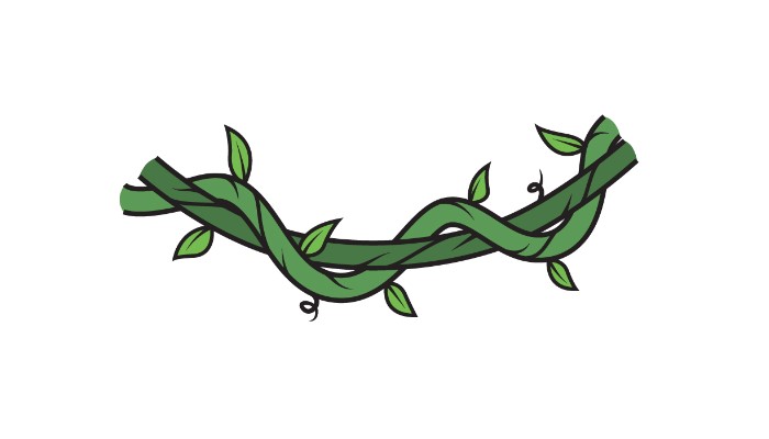 Read more about the article How to Draw Vines