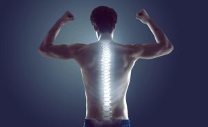Read more about the article Ways to have a Healthy Spine