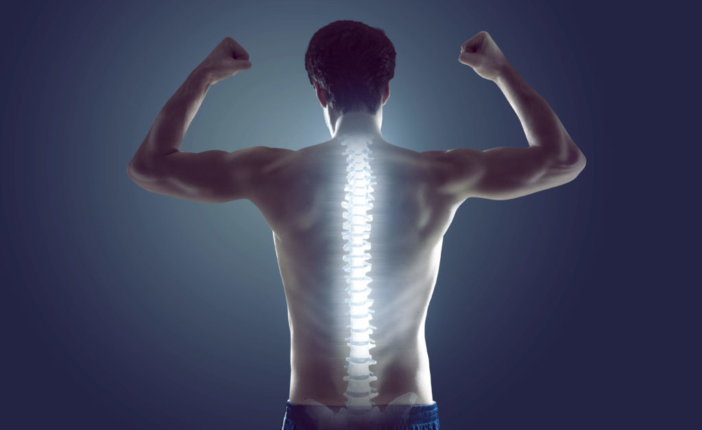 You are currently viewing Ways to have a Healthy Spine