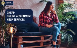 Read more about the article The Cheapest Way To Get Assignment Help