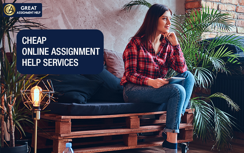 Read more about the article The Cheapest Way To Get Assignment Help
