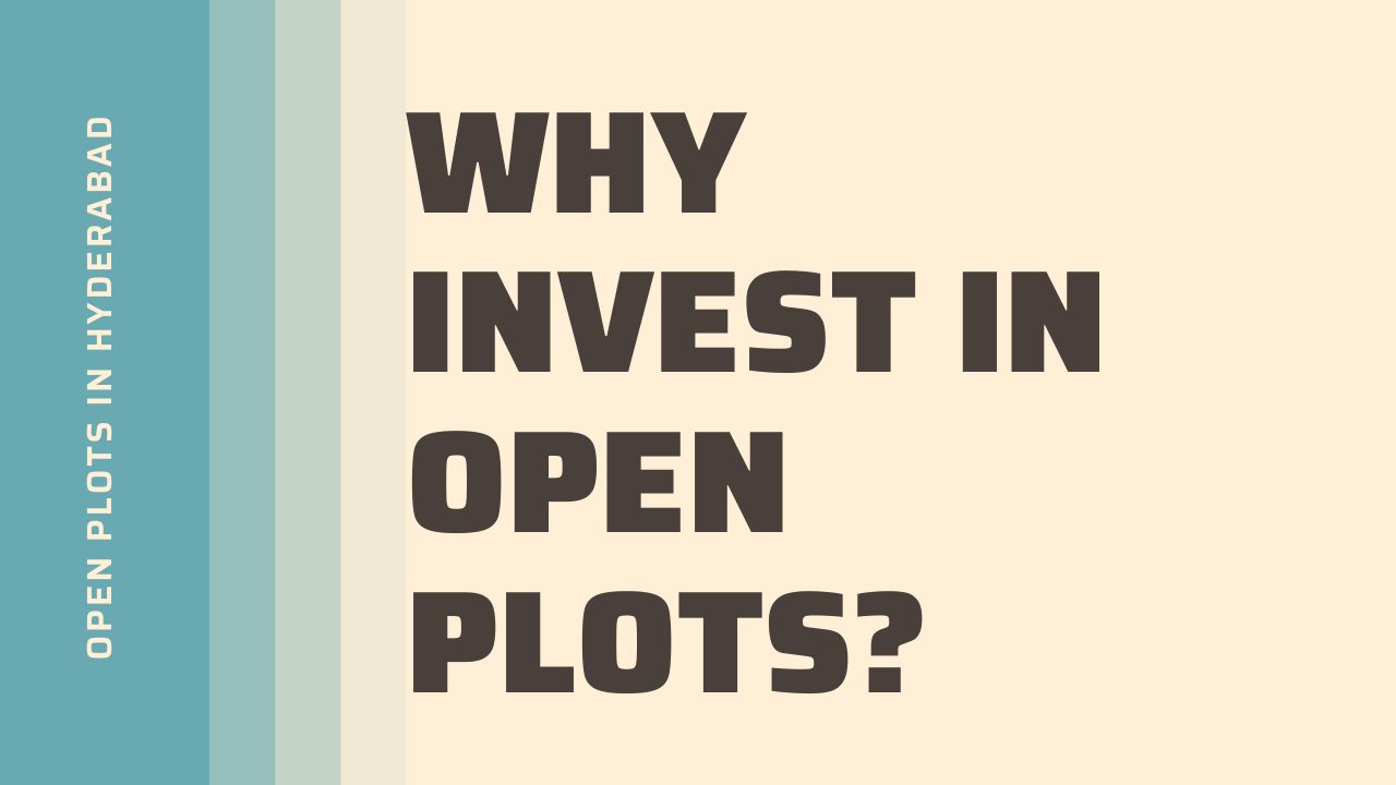 Read more about the article Open Plots